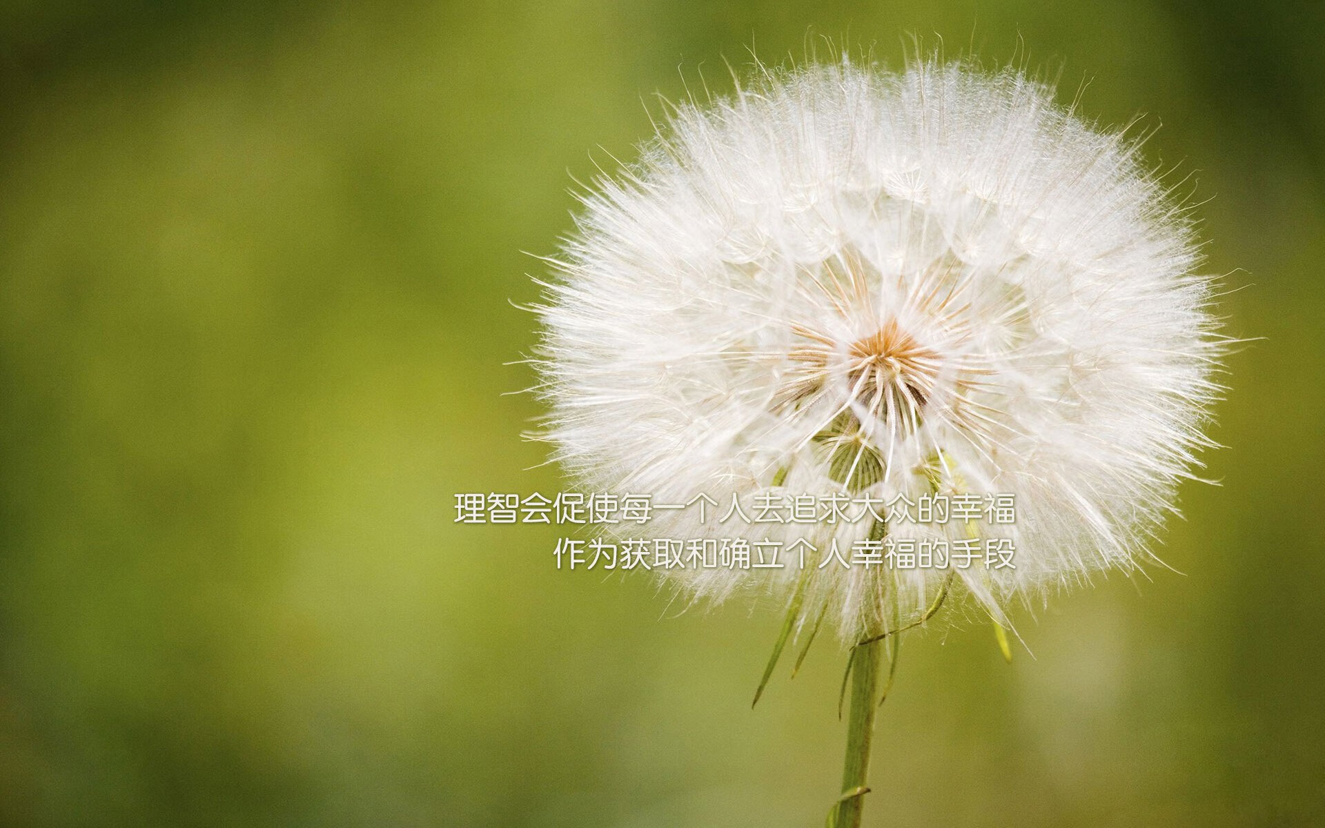 世界青年击剑锦标赛青少年五金战果丰硕，青少年击剑锦标赛年龄组别