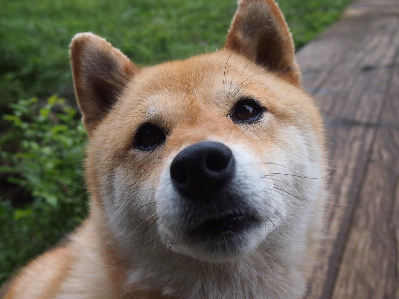 “2025世界运动会：运动舞蹈赛，金牛区城北体育馆掀起一场舞步狂潮！”