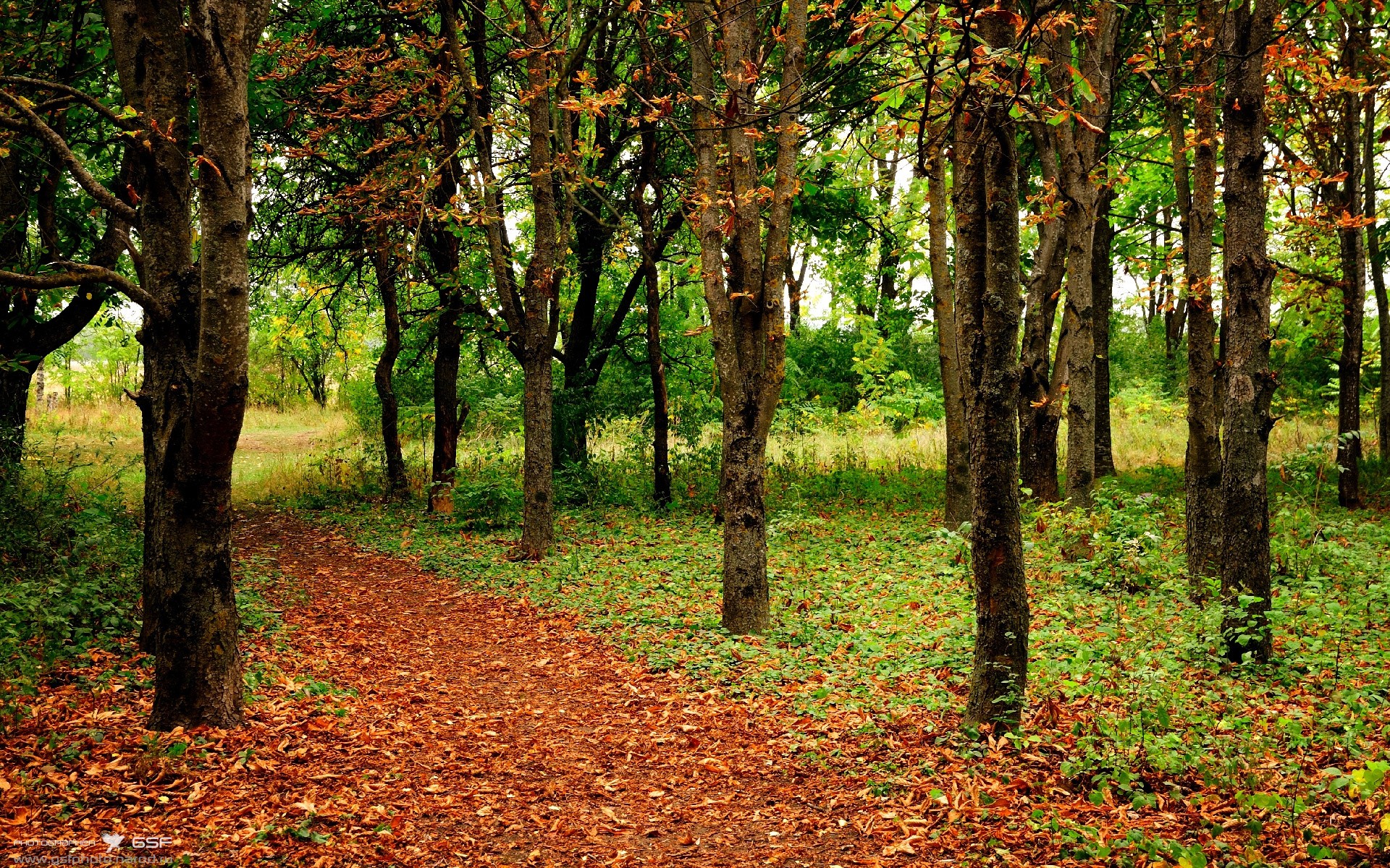 中国三人篮球队赛场配合日趋默契,中国三人篮球国家队比赛