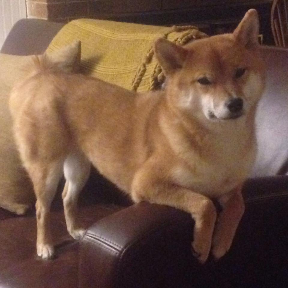 女队赛后表示:重在积累经验,女队赛后表示_重在积累经验的成语