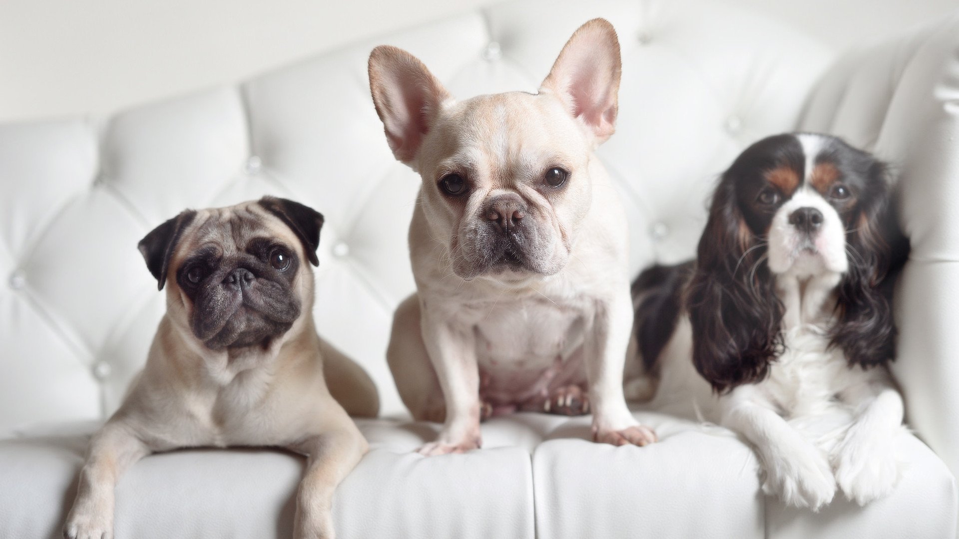 训练设施升级计划推进各地篮球基础设施迎来改善,篮球训练场地合理利用