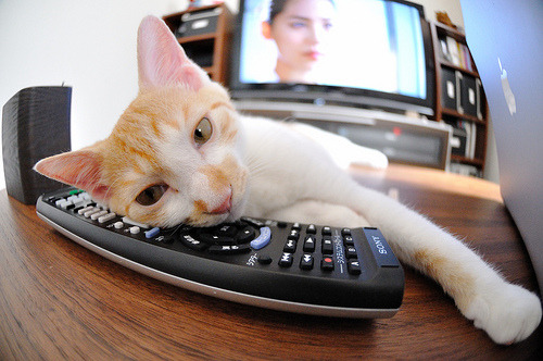 轻艇竞速,兴隆湖激情上演水上盛宴,兴隆湖可以划船吗