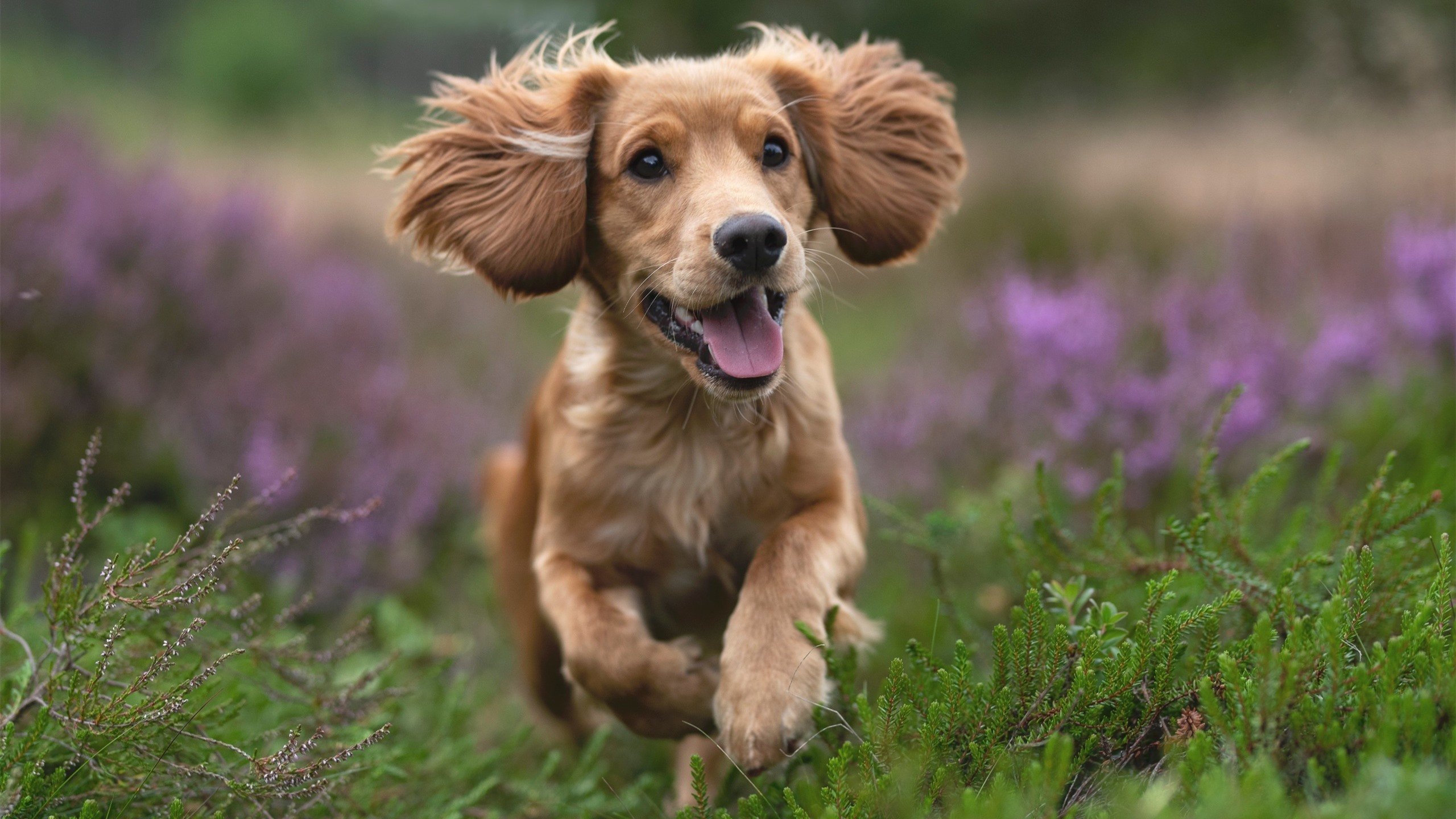 开云体育网址-高强度防守下节奏突变是否会打乱对手