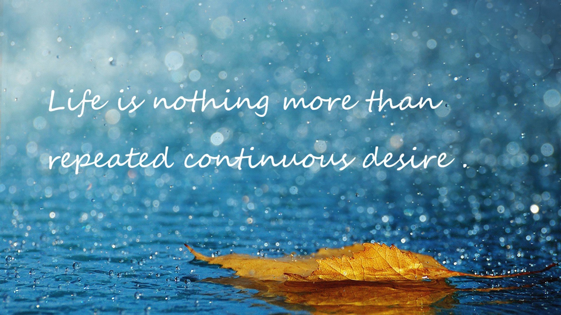 开云体育在线入口-中国足球国家队总结战术失误案例强化应对策略，足球重大失误