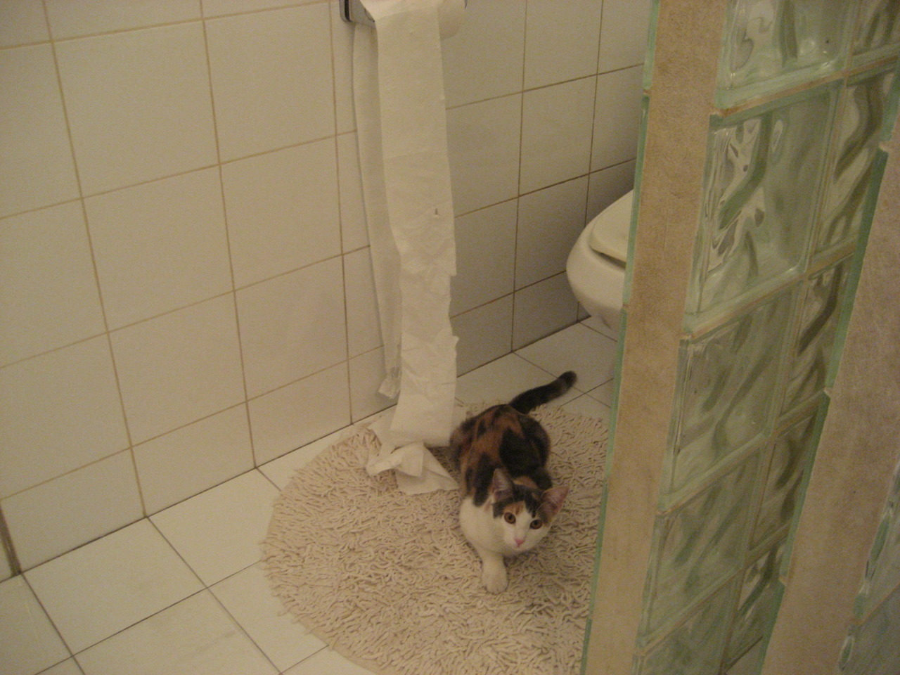 南非仰泳新秀表现抢眼，京东寄个人快递便宜吗