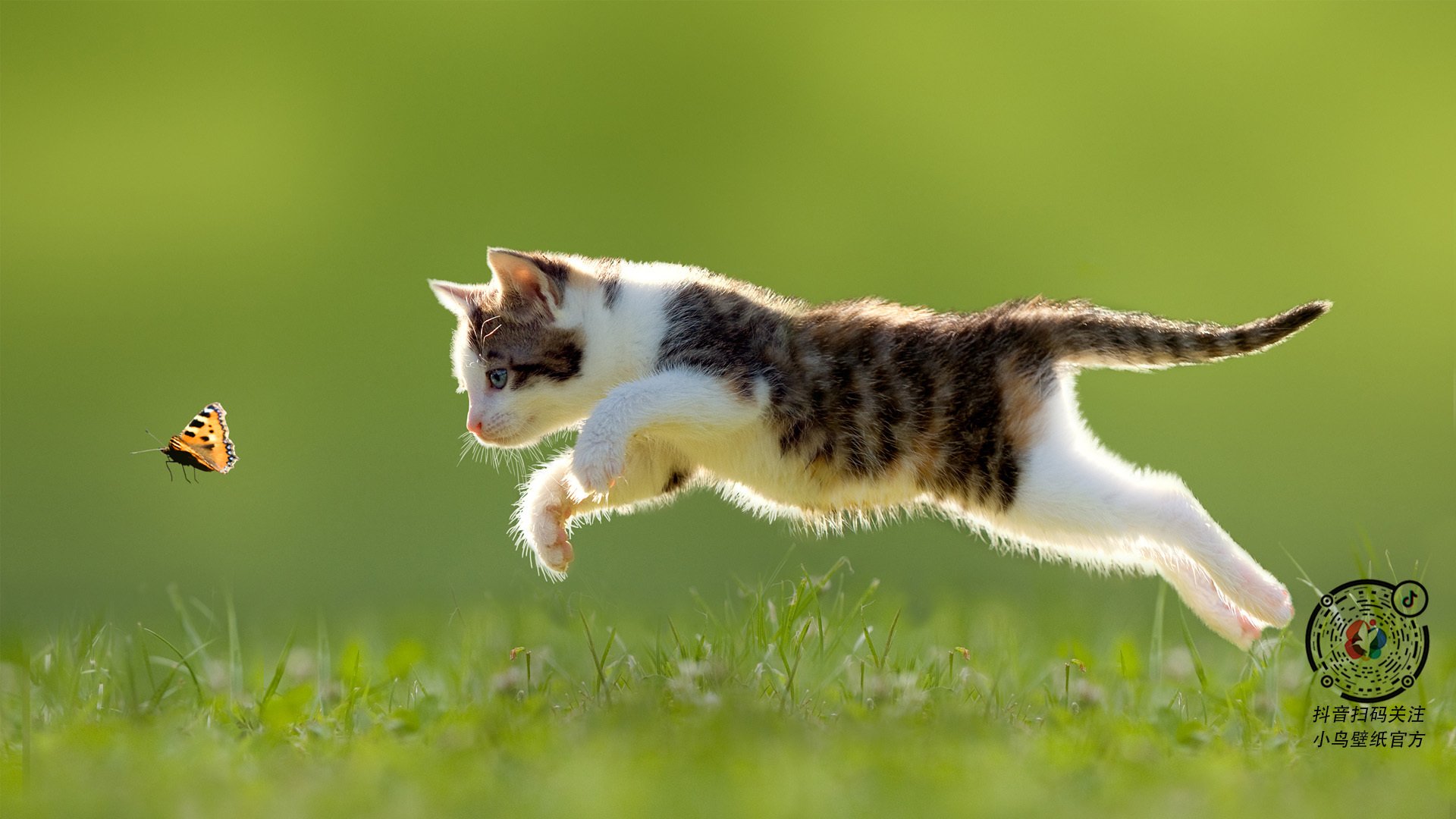 开云体育app注册-尼尔·巴特尔的防守智慧，为袋鼠队带来更多成功机会，尼尔巴特莱特