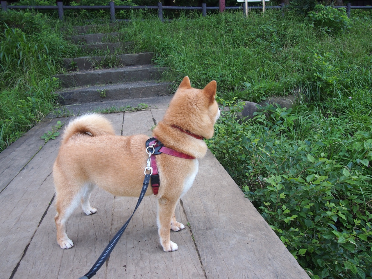 快船在训练中引入倒计时节奏训练加强临场反应，快船指导