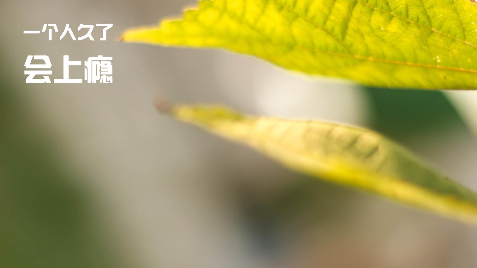 开云体育在线入口-新赛季赛程正式公布多项焦点对决引发媒体提前关注，新赛季比赛