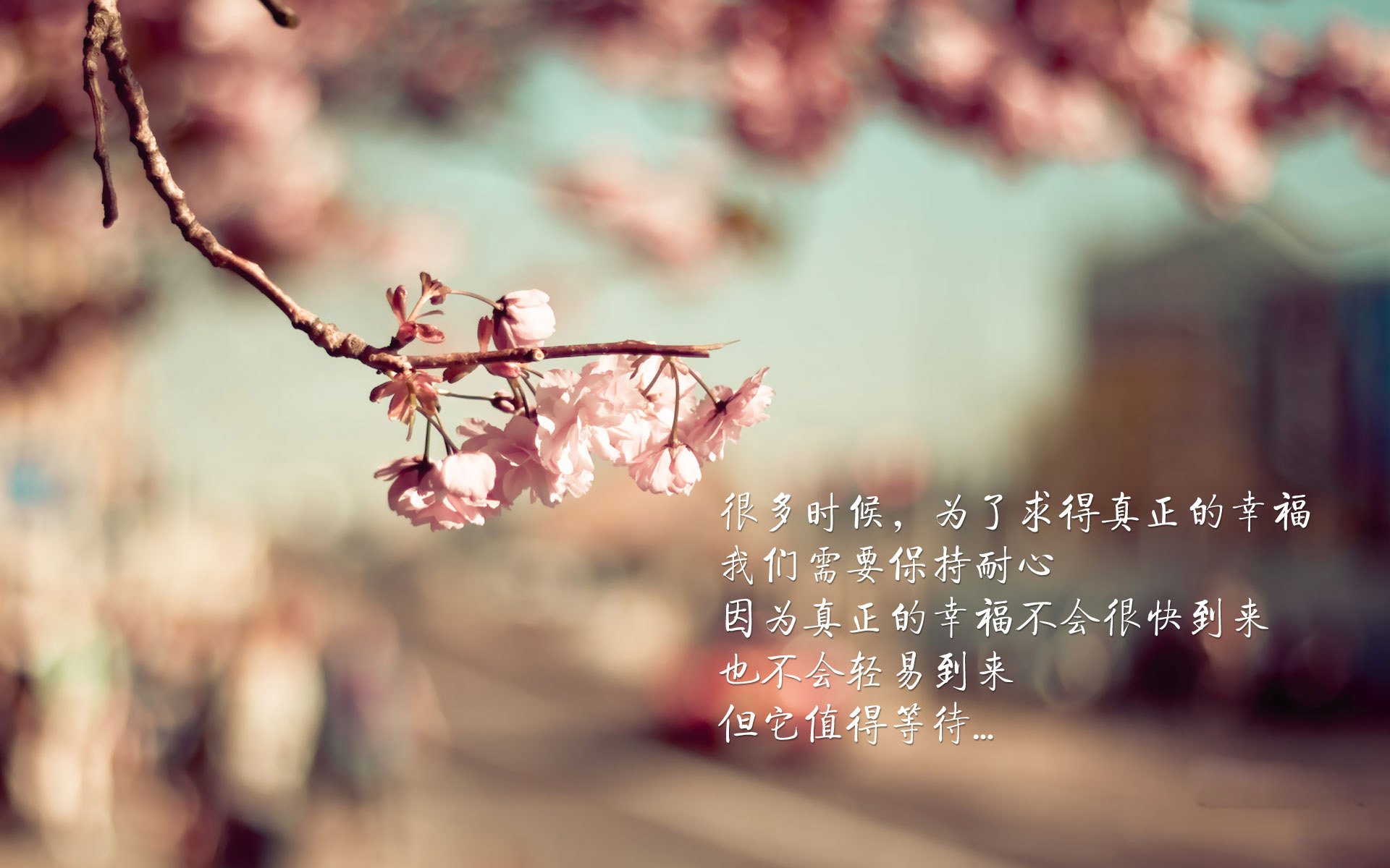 梅西再次闪耀国家队,带领阿根廷冲击世界杯